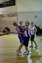 Basket 252009